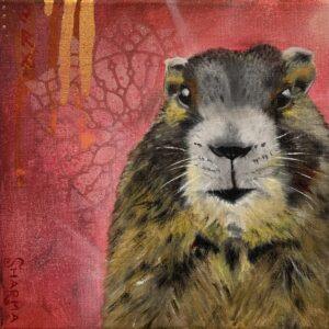 Lord Marmot Of The Alps