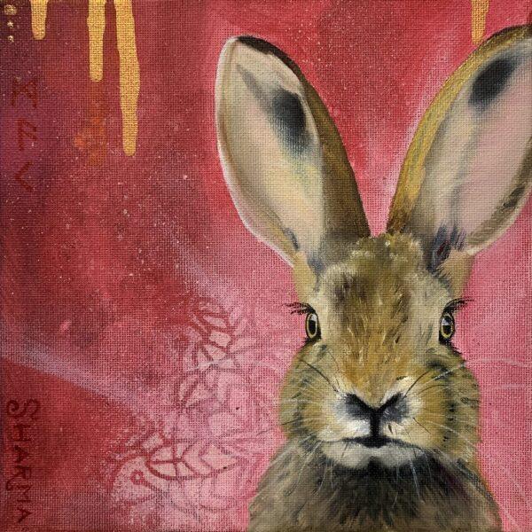 Mister Rabbit Of The Poppy Fields